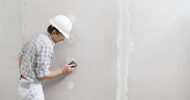 Best Crawl Space Mold Remediation  in Ivins, UT